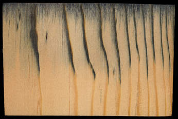 Picture of farm raised lumber